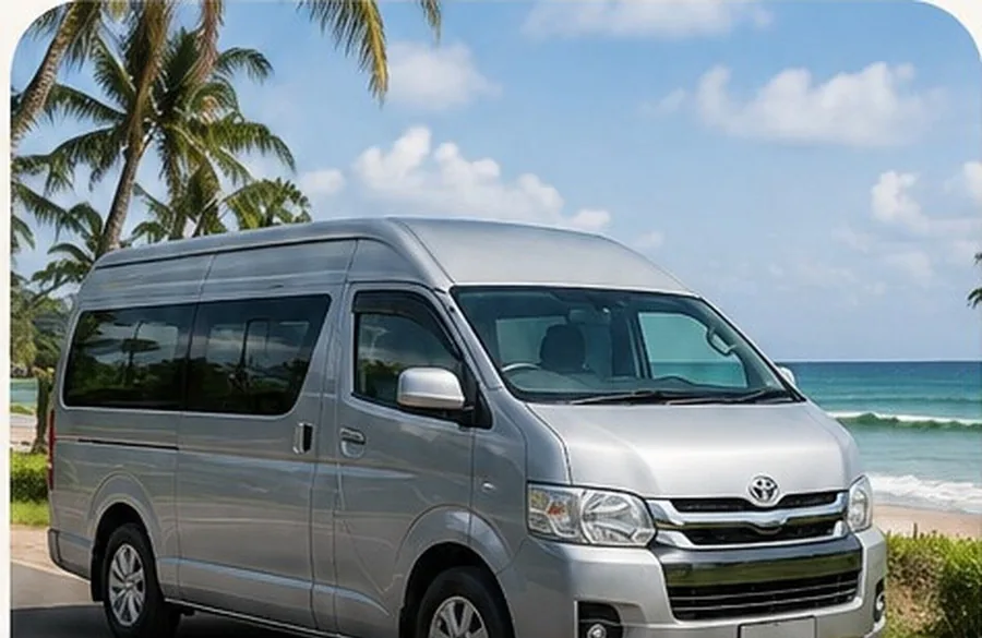 Full-Day Taxi with Private Driver